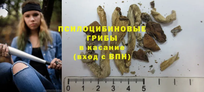 цены наркотик  Борисоглебск  Галлюциногенные грибы Magic Shrooms 